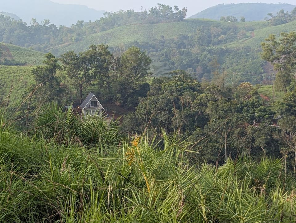 Natural landscape