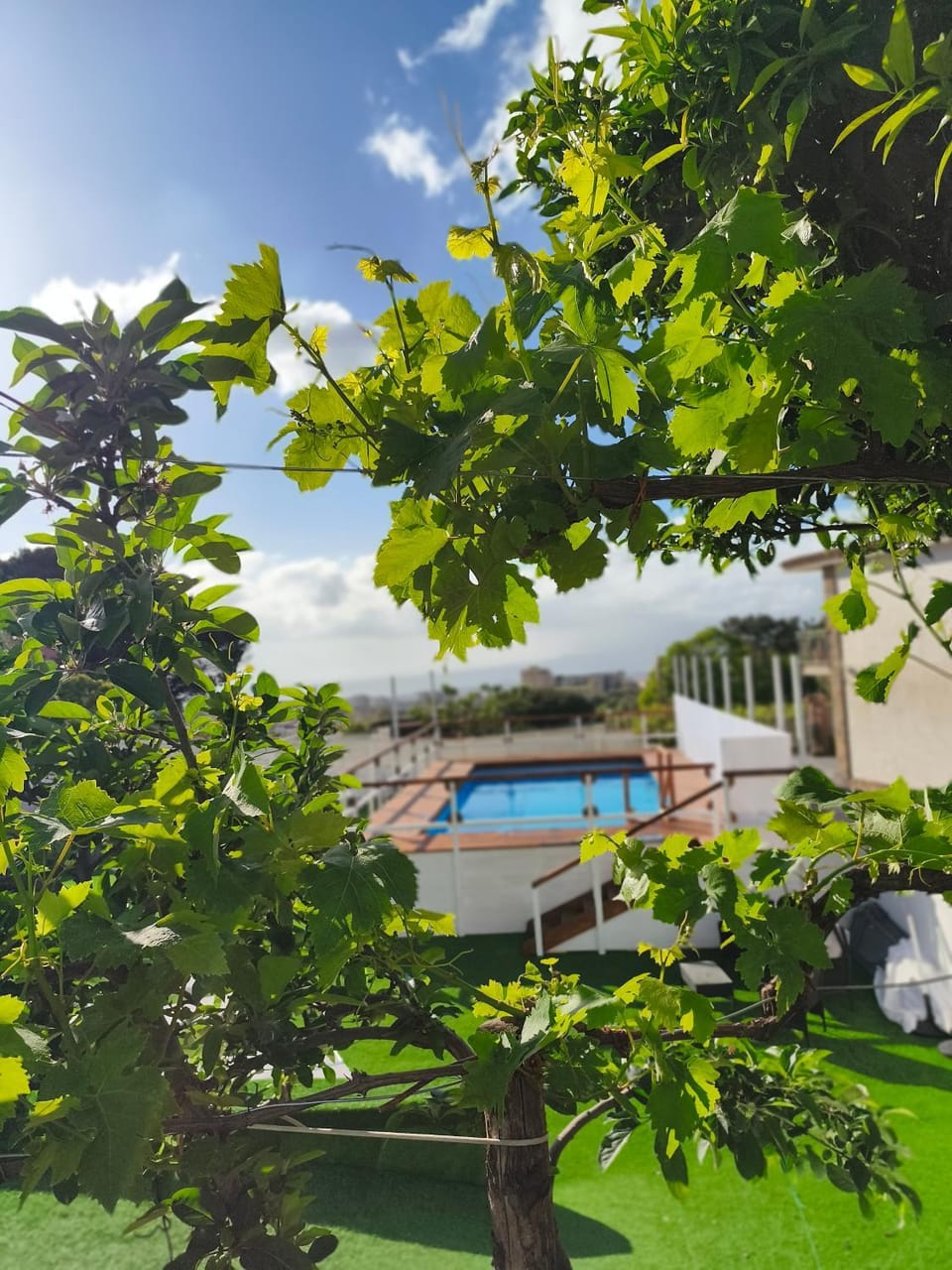 Tenuta Coppola casa vacanze Apartment in Campania