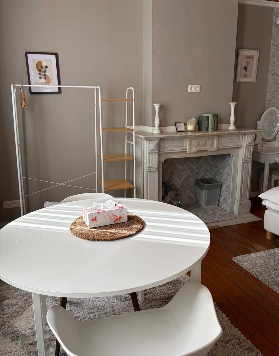 cosy studio Apartment in Antwerp