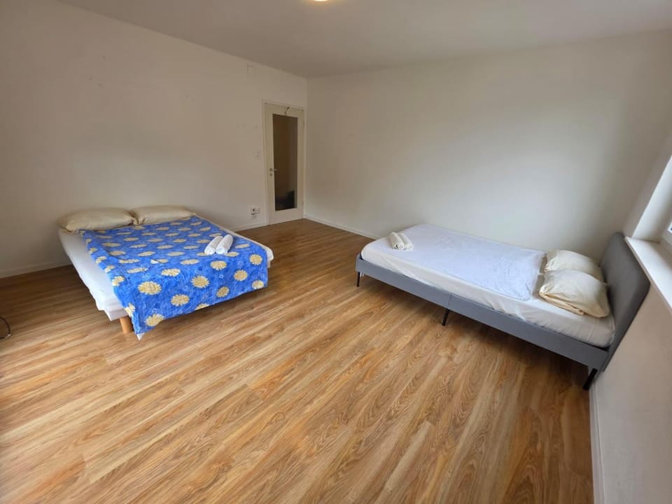Large Flats, Zurich City Center - SCHE Apartment in Zurich City