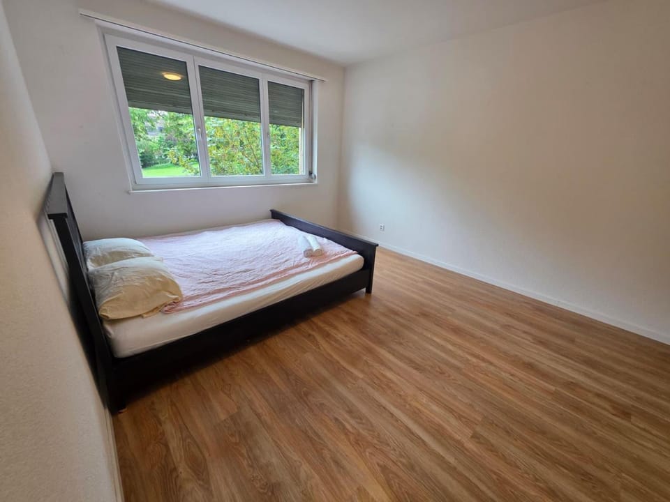 Large Flats, Zurich City Center - SCHE Apartment in Zurich City