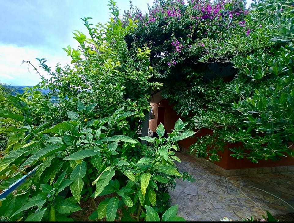 Floral Retreat Apartment in Split
