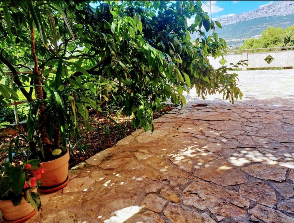 Floral Retreat Apartment in Split