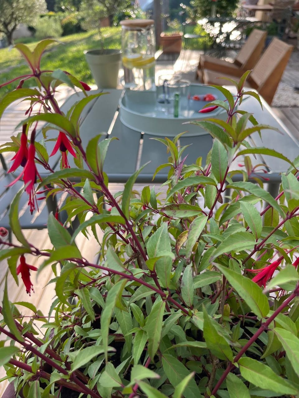 Garden view