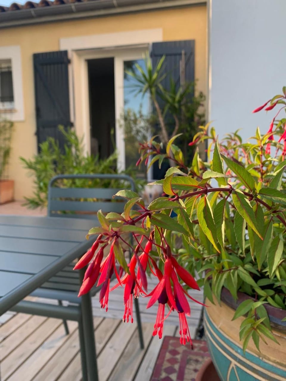 Garden, Balcony/Terrace, Garden view