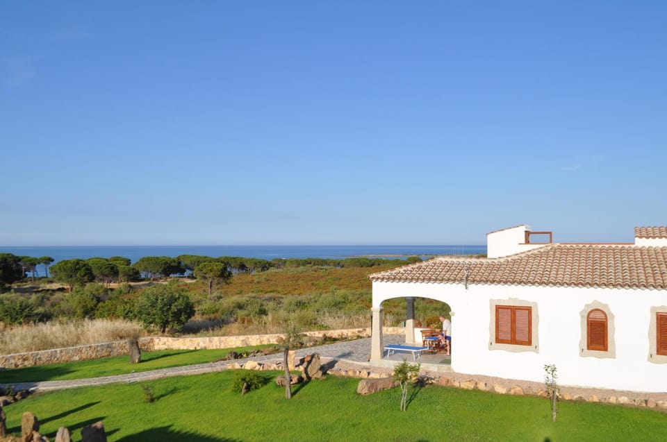 Day, Garden view