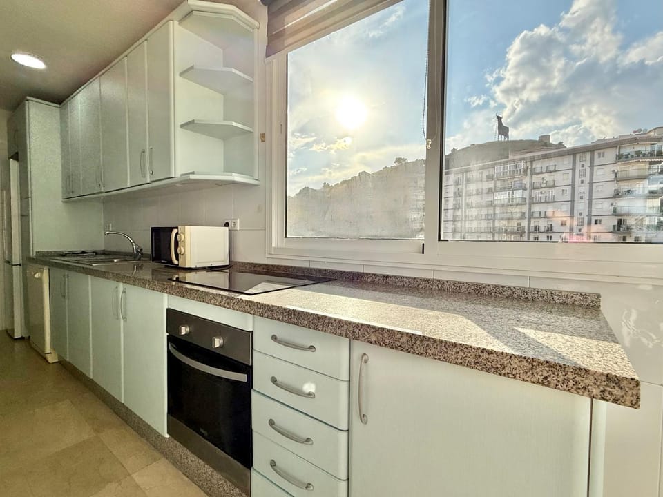 Kitchen or kitchenette, oven, stove
