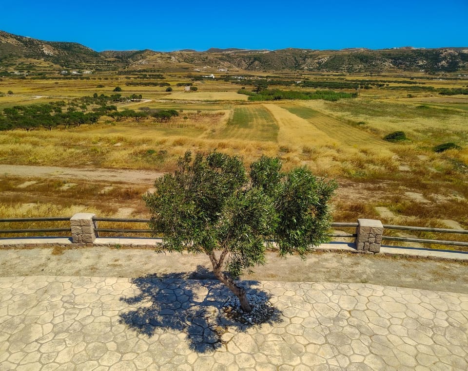 View (from property/room)
