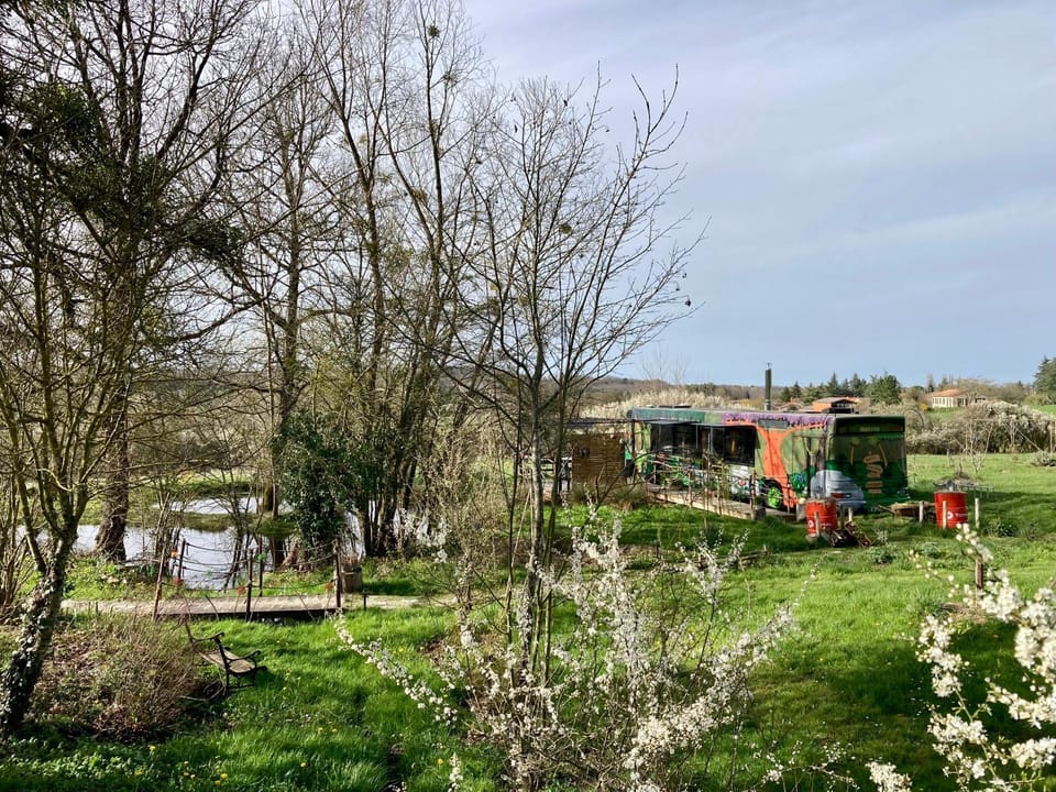 Spring, Day, Natural landscape, Garden, Garden view, Lake view