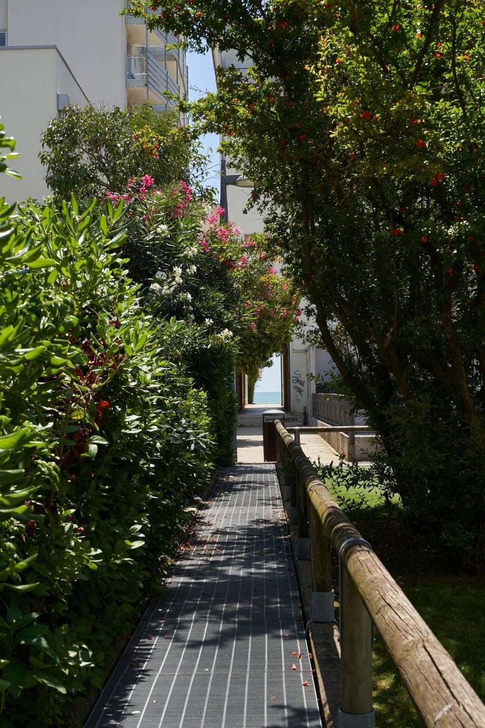 Spring, Day, Neighbourhood, Garden, Garden view