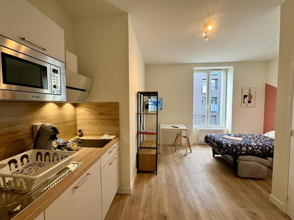 Appartement Cosy 1 personne N6 Apartment in Clermont-Ferrand