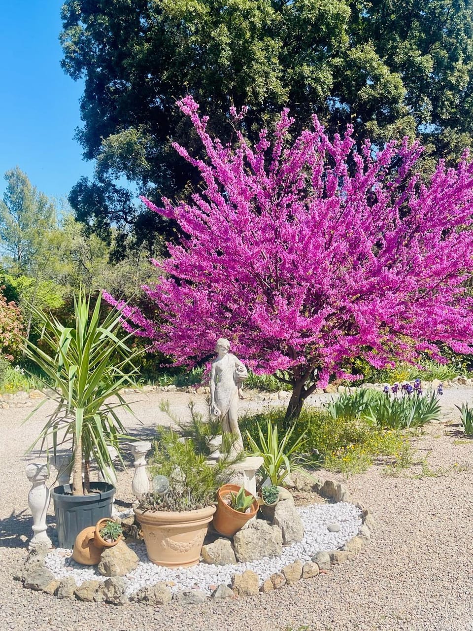 Maison House in Fayence