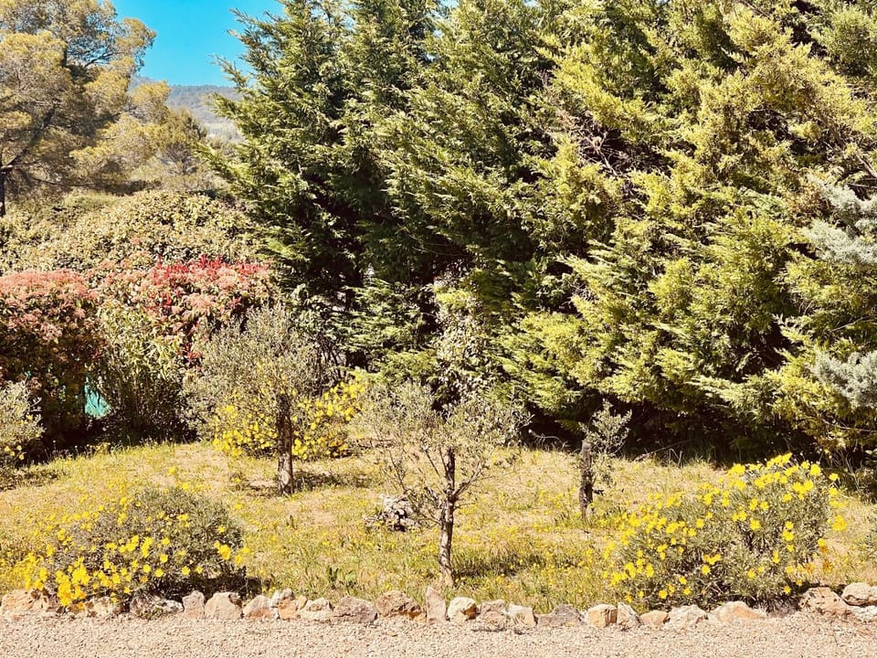 Maison House in Fayence