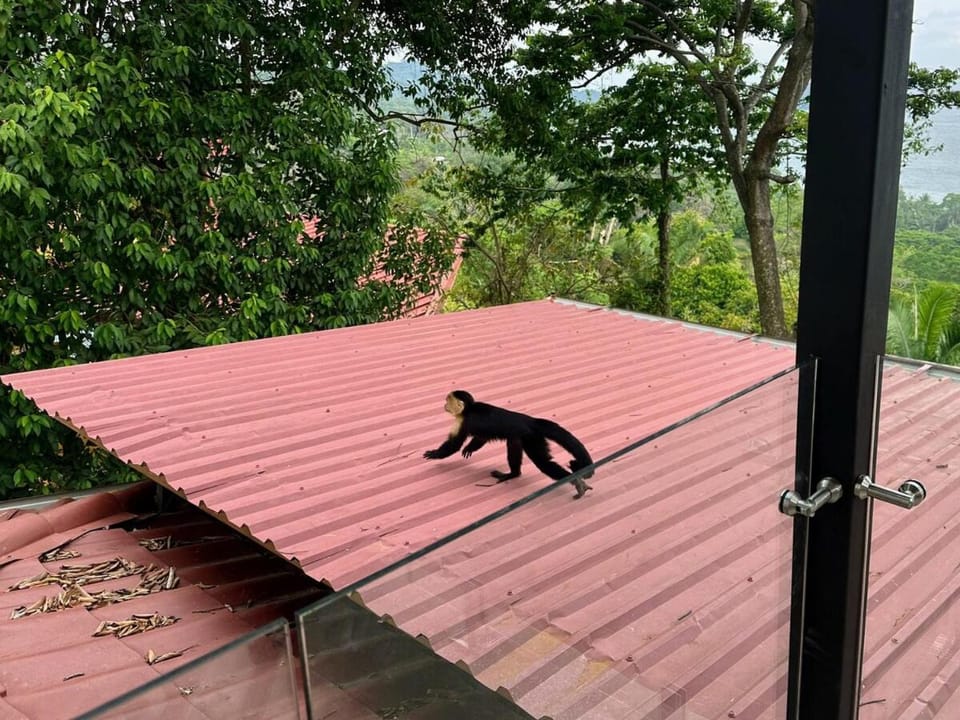2 BD Villa with Sweeping Views of Manuel Antonio House in Quepos