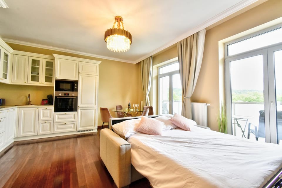 Bed, Kitchen or kitchenette, Photo of the whole room, Bedroom, oven, stove