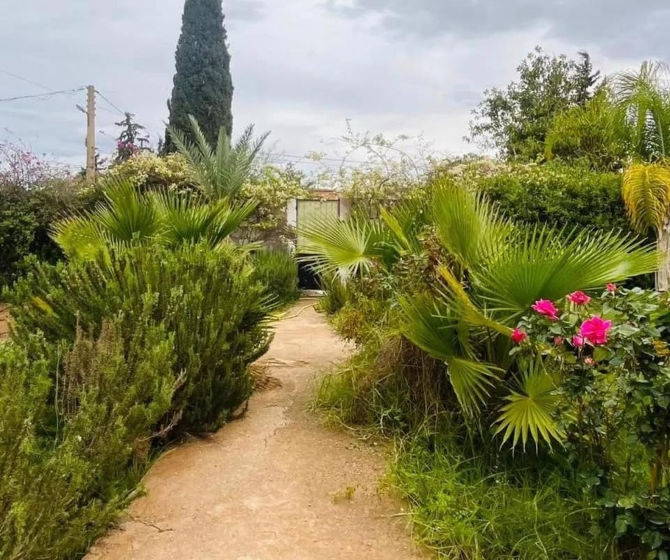 Villa jasmine piscine sans vis à vis, BERKANE Villa in Morocco