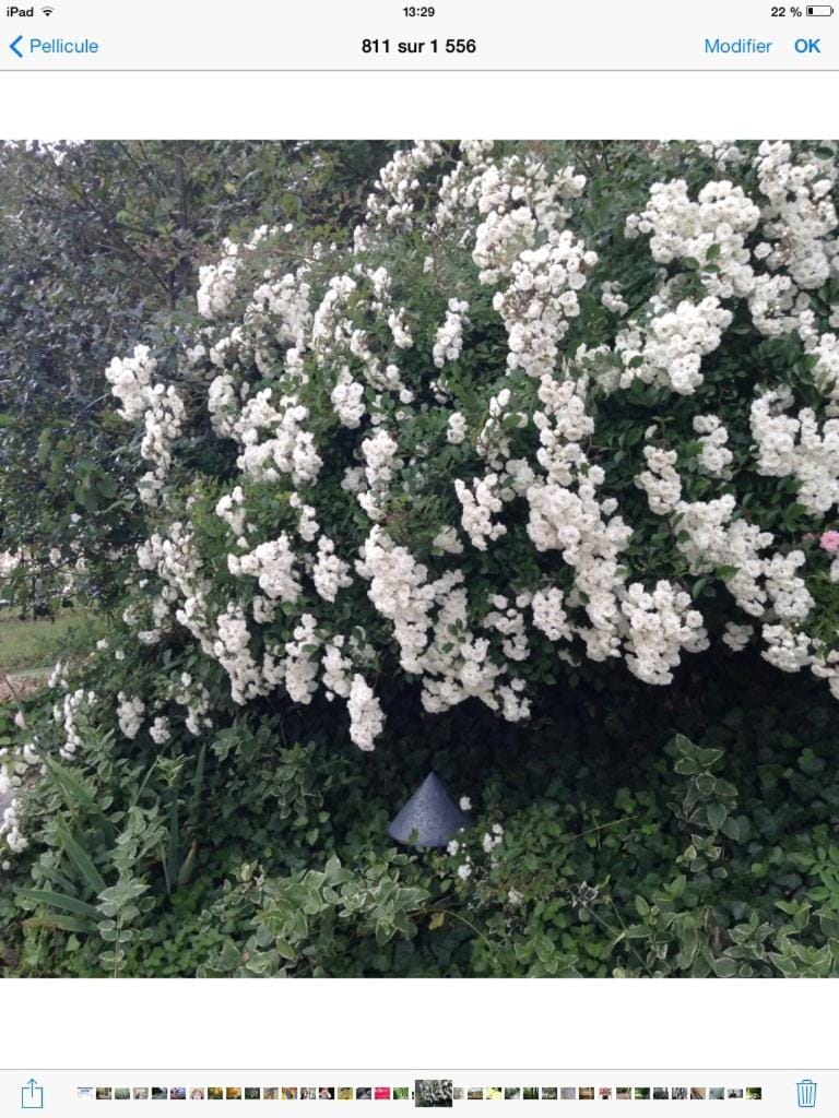 La Maison d'Ambre House in Centre-Val de Loire