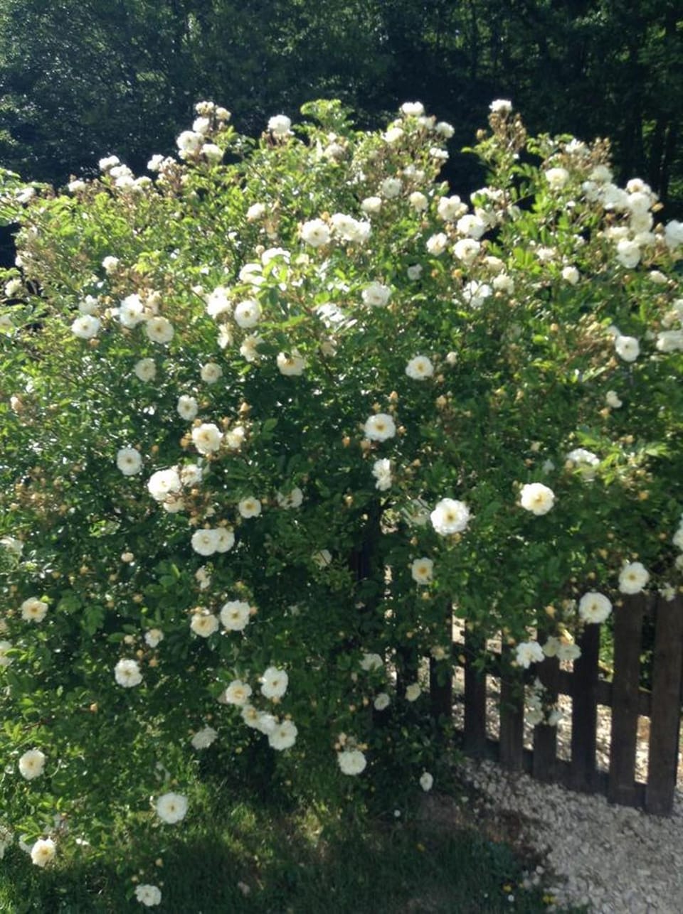 La Maison d'Ambre House in Centre-Val de Loire