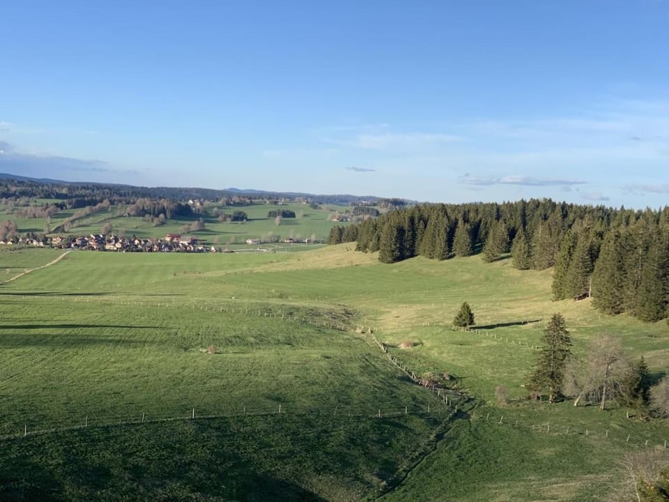 Natural landscape