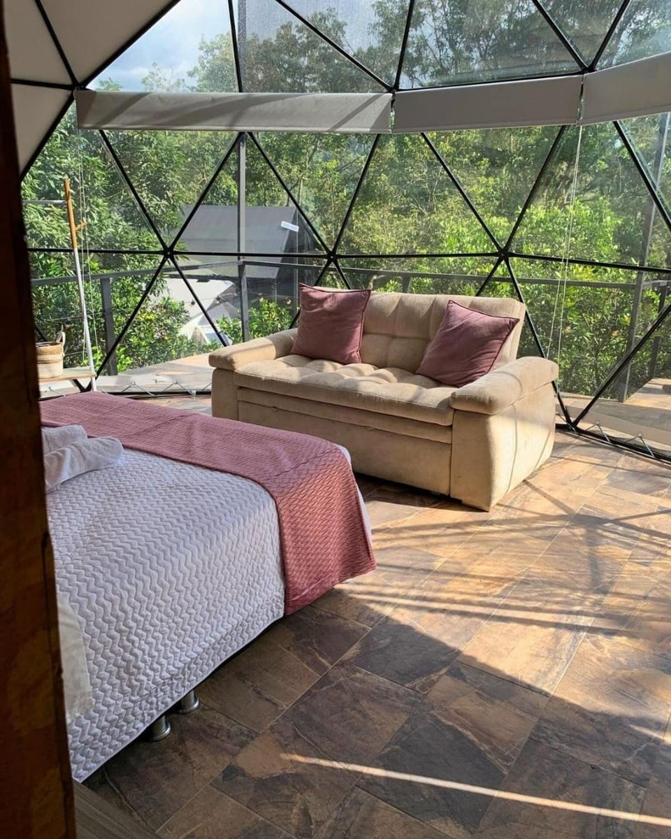 Day, Natural landscape, View (from property/room), Living room, Garden view