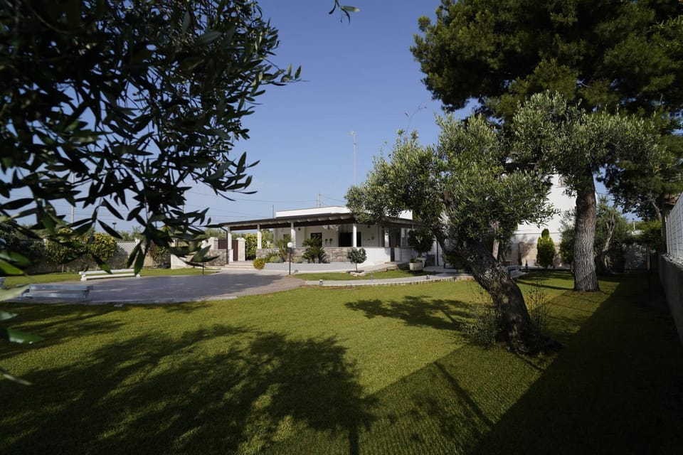 Property building, Garden view