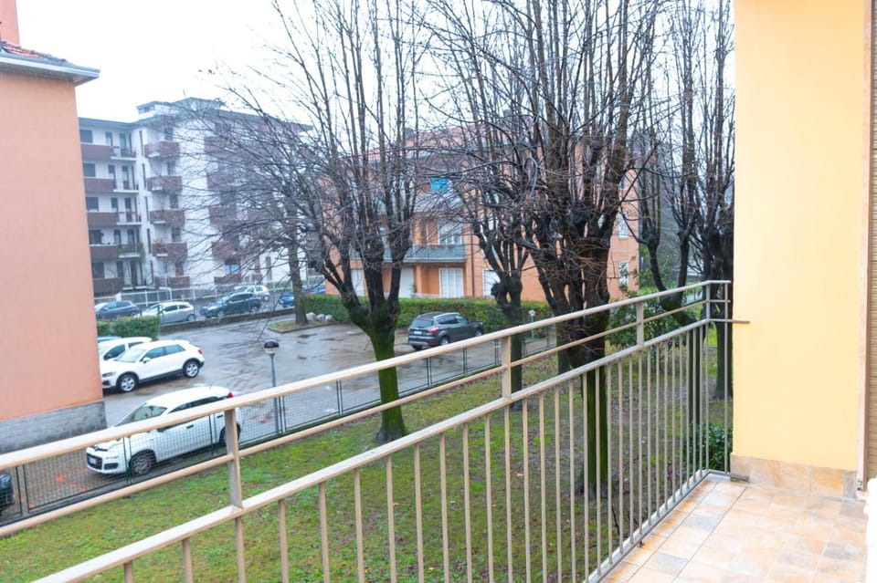 Neighbourhood, Garden, Street view
