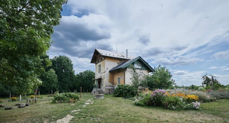 Property building, Spring, Natural landscape, Garden, Garden view