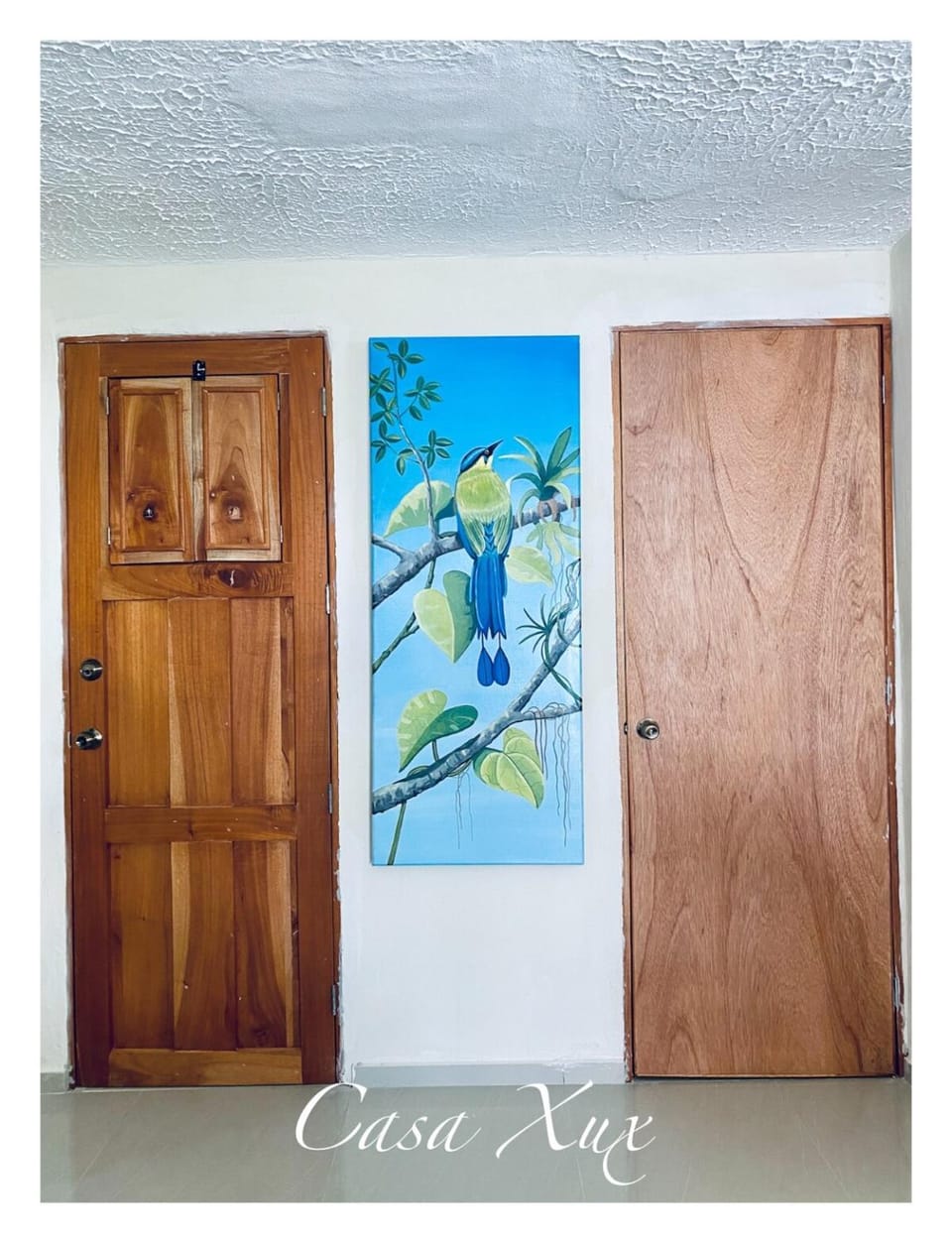 Cozy and Central Room Apartment in Merida