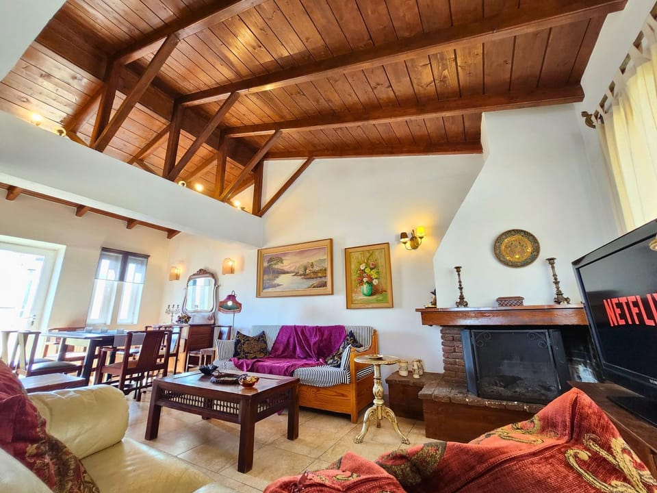 Roof Garden Loft Apartment in South Athens