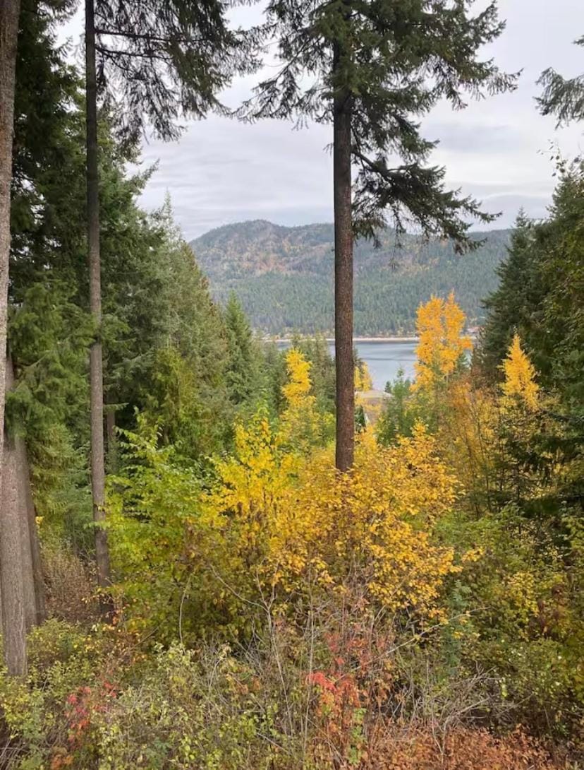 Blind Bay Chalet 2 Bedroom Private Suite Bed and Breakfast in British Columbia