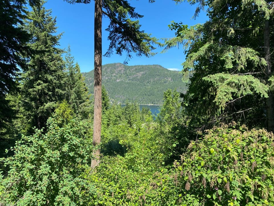 Blind Bay Chalet 2 Bedroom Private Suite Bed and Breakfast in British Columbia