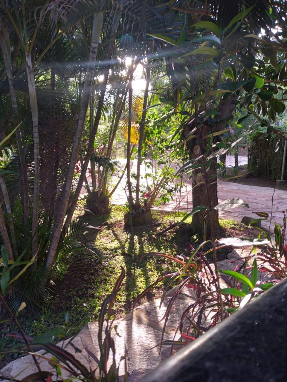 Sítio em Natureza Exuberante! House in State of Goiás