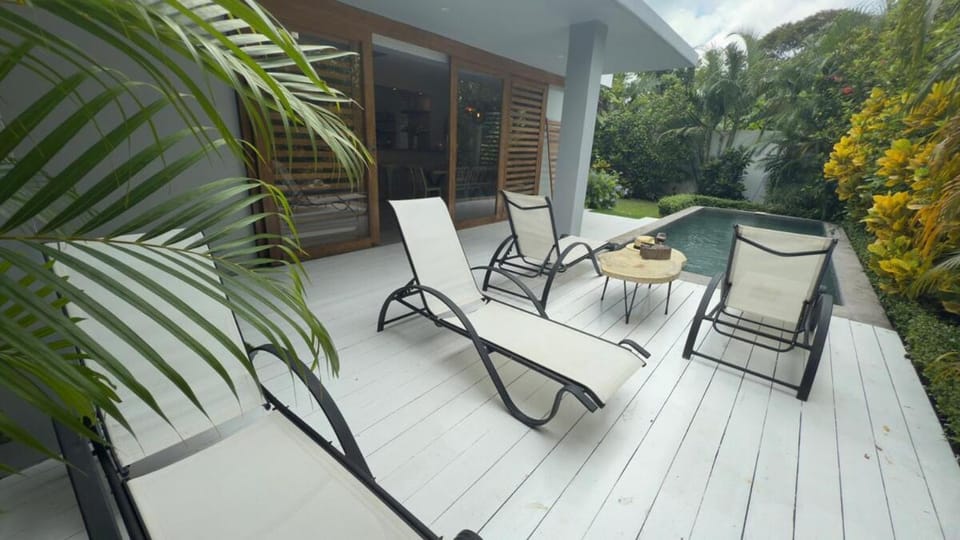 Private Pool Las Ballenas Villa Villa in Las Terrenas