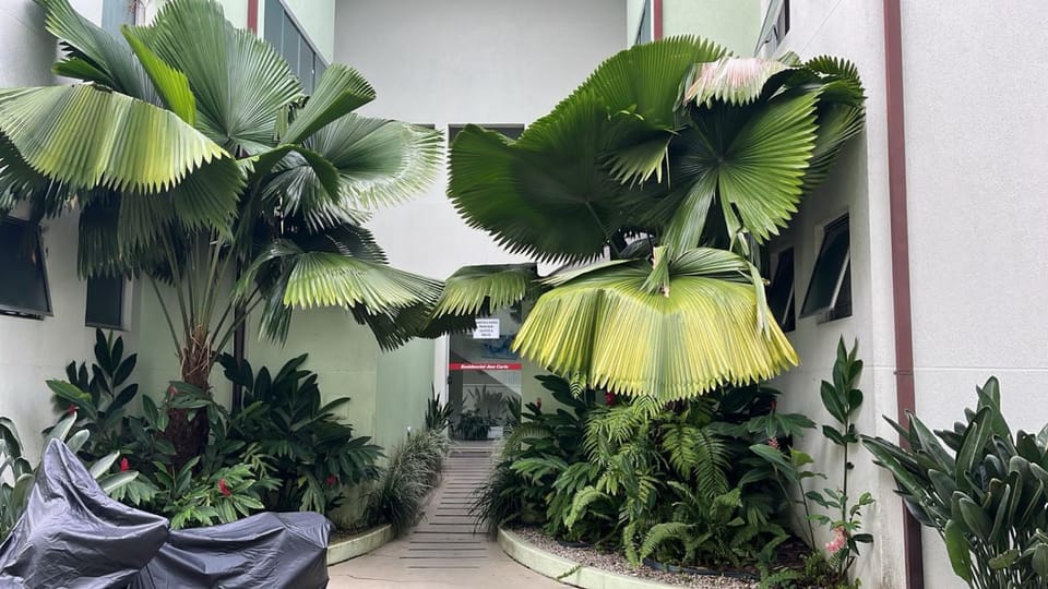 Facade/entrance, Garden, Garden