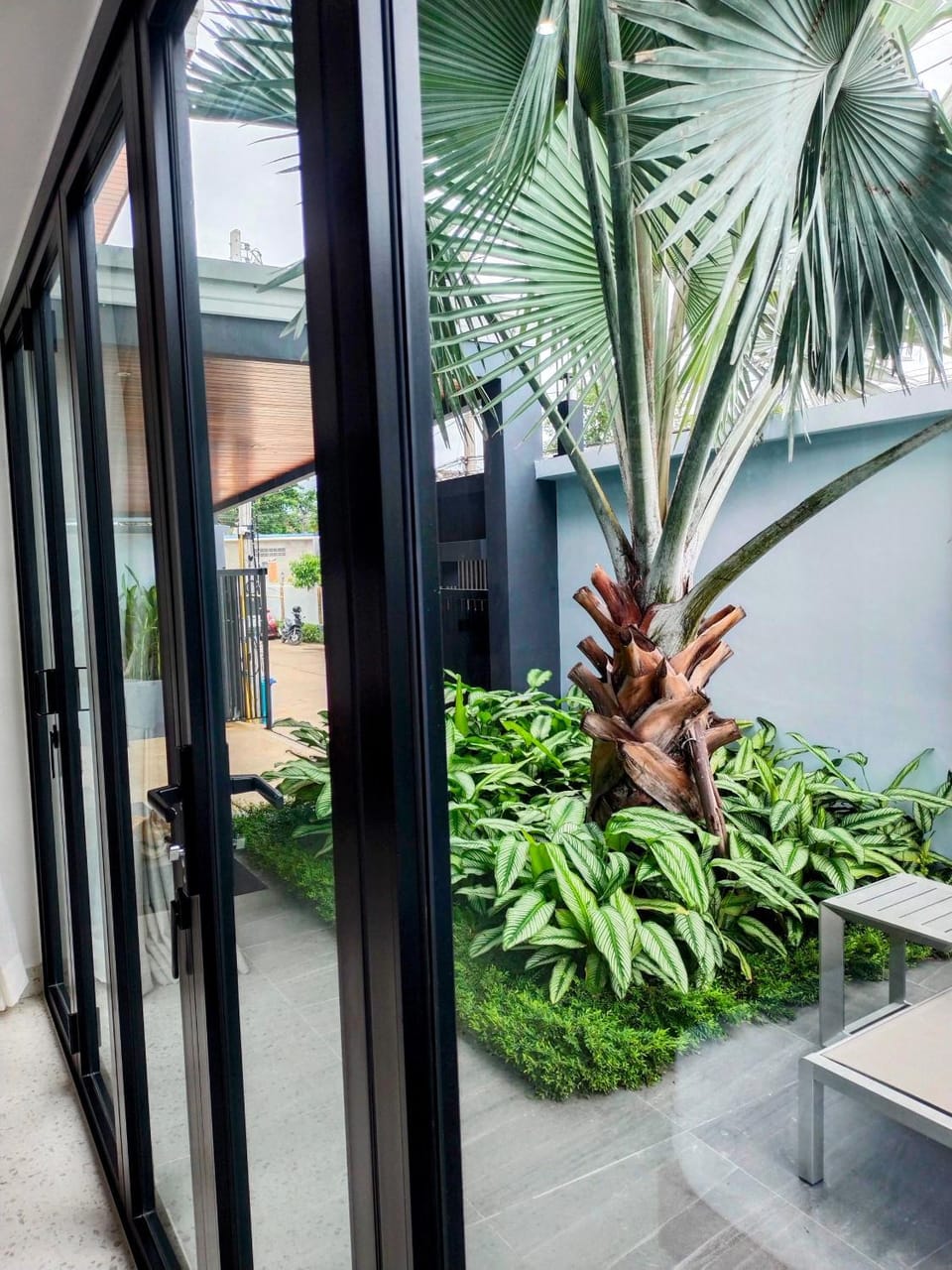 Garden, Garden, Seating area, Garden view