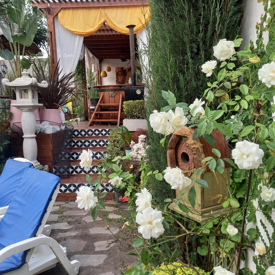 Patio, Garden, Garden, Garden view
