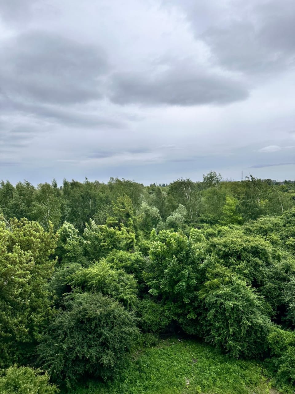 Natural landscape