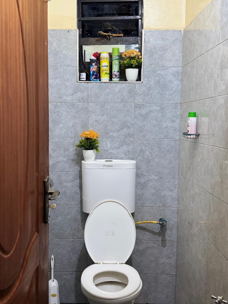 Toilet