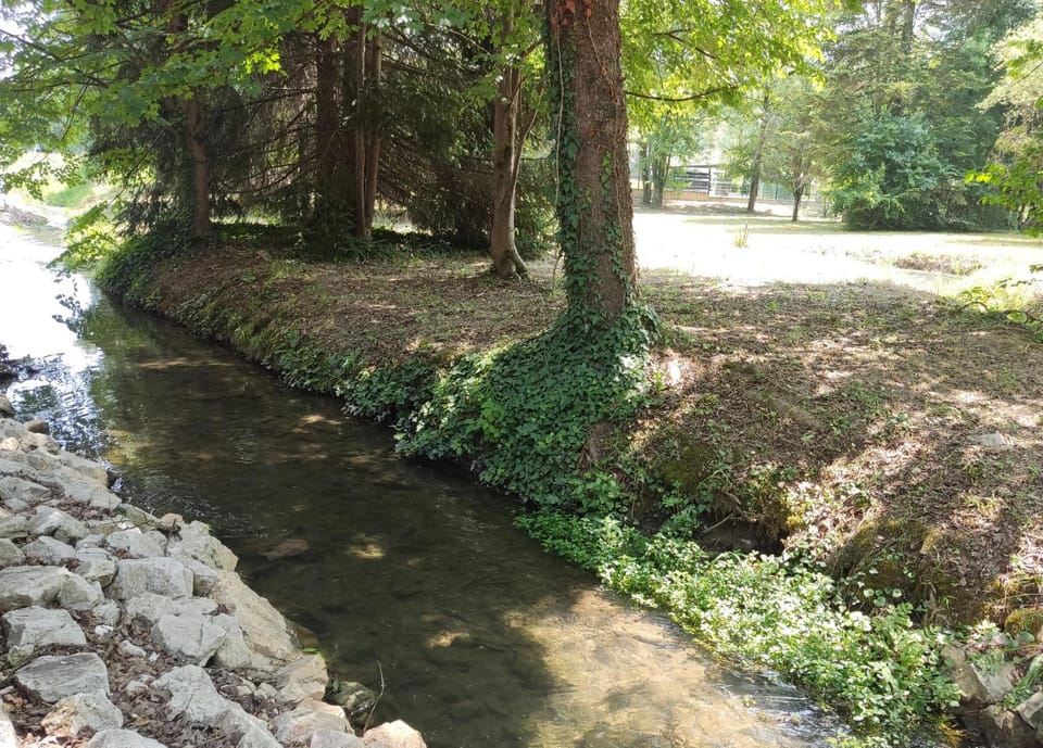 Day, Natural landscape, River view