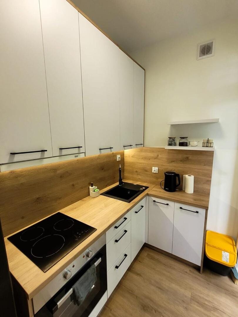 Kitchen or kitchenette, dishwasher, stove