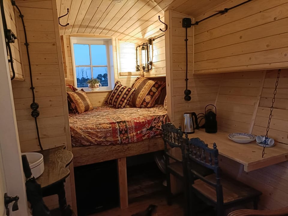 Bed, Kitchen or kitchenette, Dining area