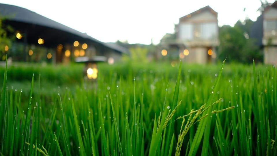 Property building, Natural landscape, View (from property/room)