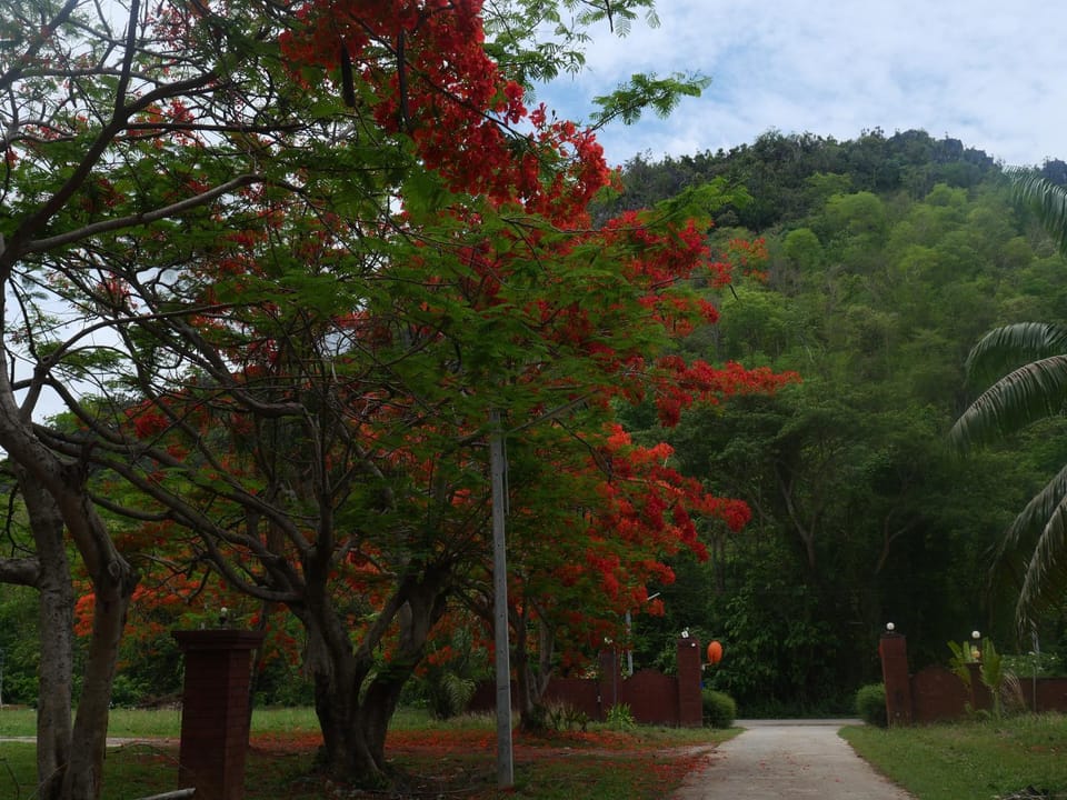 Muangkham Farm Stay in Thailand