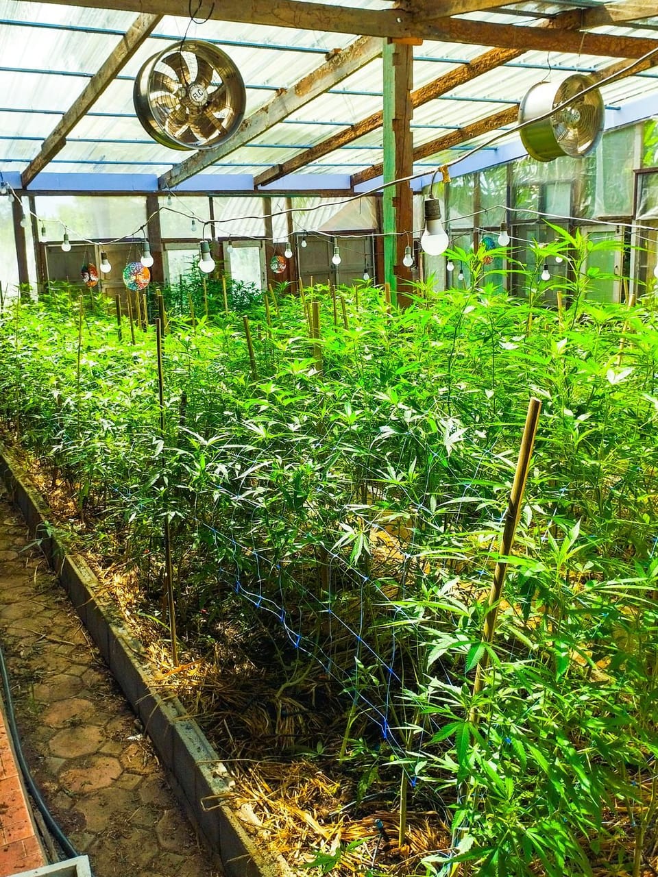Muangkham Farm Stay in Thailand