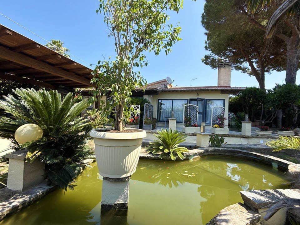 Property building, Patio, Garden