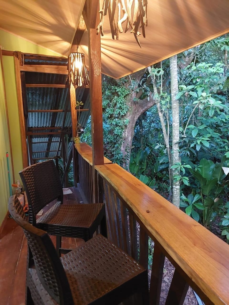 Chilamate Jungle View Apartment in Costa Rica