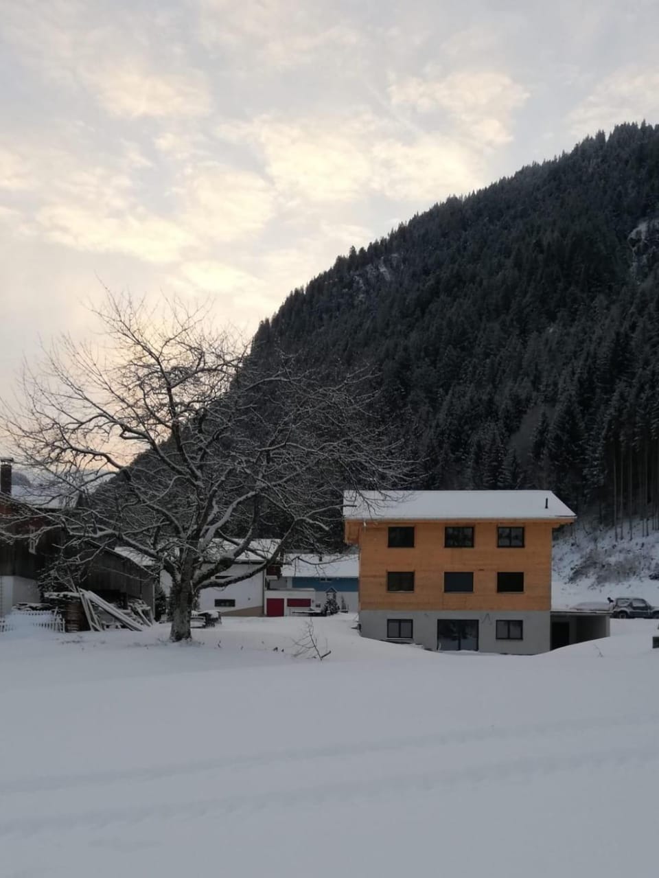 Natural landscape, Winter