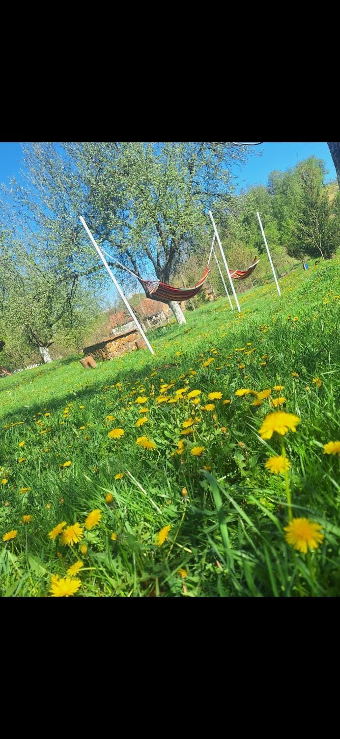 Casa Maria Bed and Breakfast in Romania