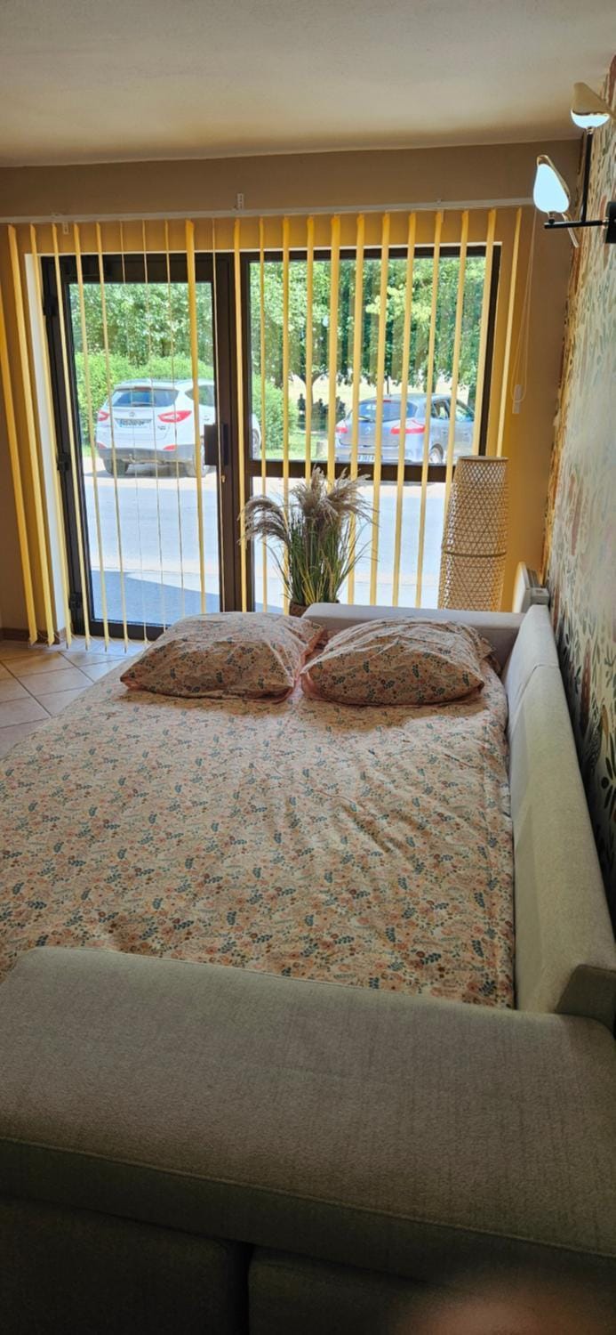 Les oiseaux du lac Apartment in Auvergne-Rhône-Alpes