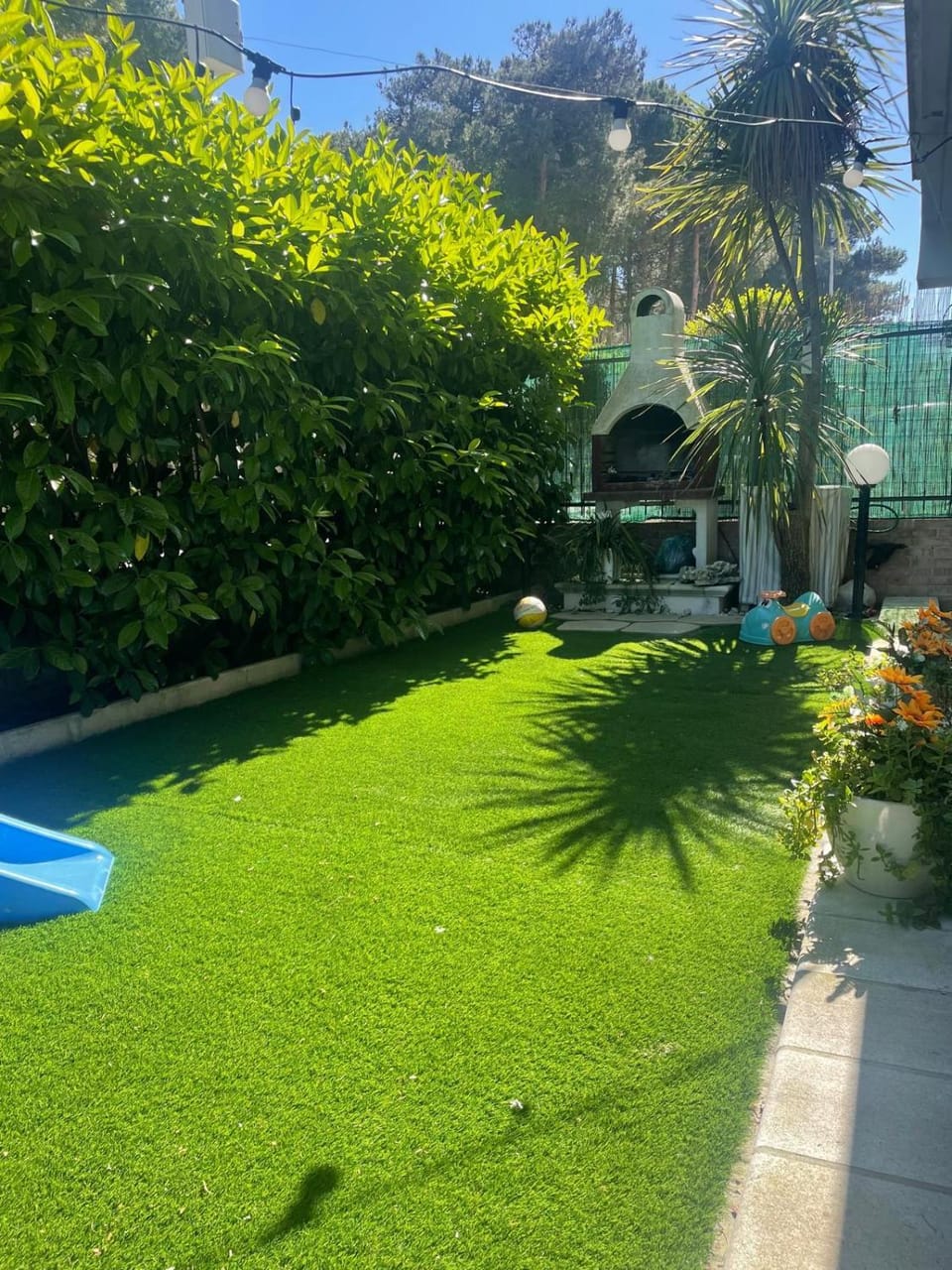 Natural landscape, Garden, Garden view